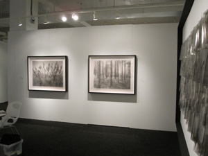 view of the show1